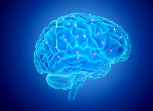 인간의 두뇌 활동 — 스톡 사진