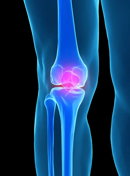 Anatomie lidského kolene — Stock fotografie