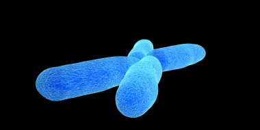 virüs ve bakterilerin hücre mikroskobik görünümü