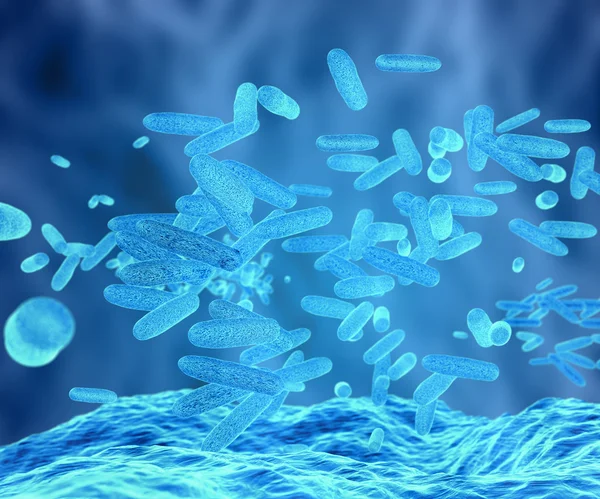 바이러스와 박테리아 세포의 현미경 보기 — 스톡 사진