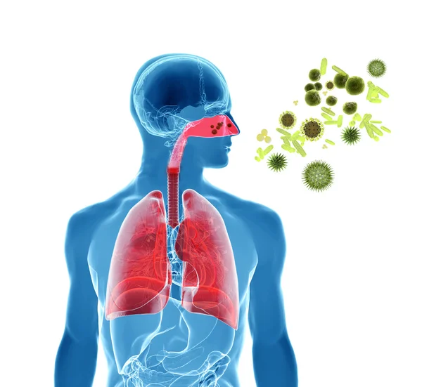 Alergia ao pólen, febre dos fenos ou infeção por gripe Imagens De Bancos De Imagens