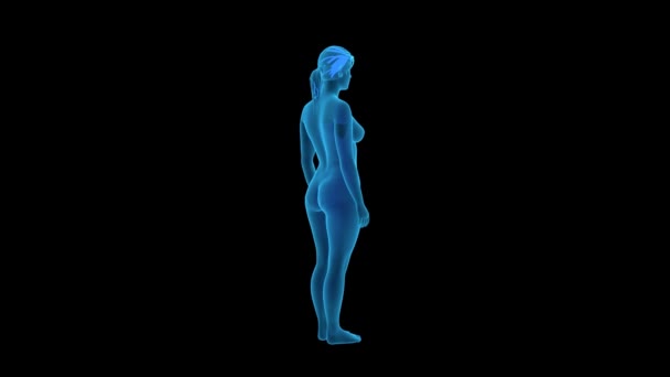 3D Render Animation of Woman — стоковое видео