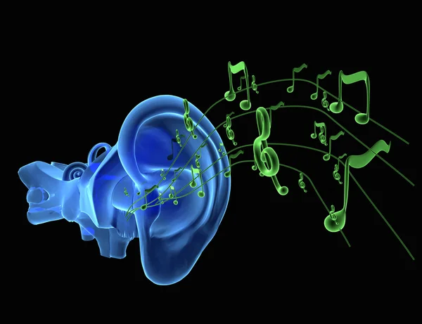 Anatomia dell'orecchio blu con note verdi o musica — Foto Stock