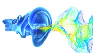 3D ear anatomy with sound waves clipart