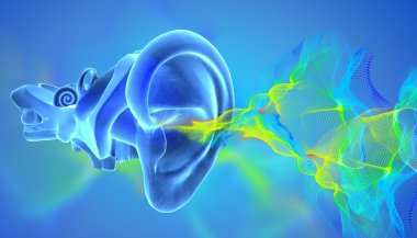 3D ear anatomy with siund waves clipart