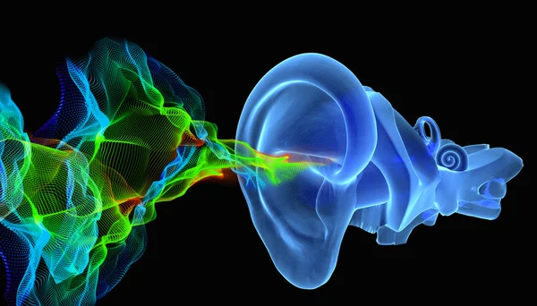 3D ear anatomy with siund waves — Stock Photo, Image