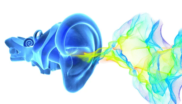 Anatomia dell'orecchio 3D con onde sonore — Foto Stock