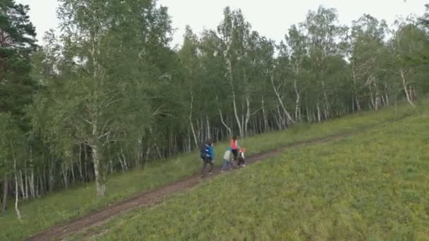 Jeunes parents avec enfants marchant sur un sentier forestier en montagne. — Video