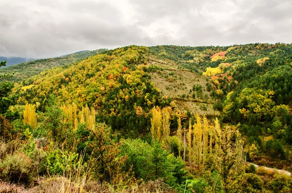 Autumn in the Pyrenees — Stock Photo, Image
