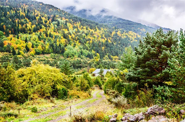Efterår i Pyrenæerne - Stock-foto