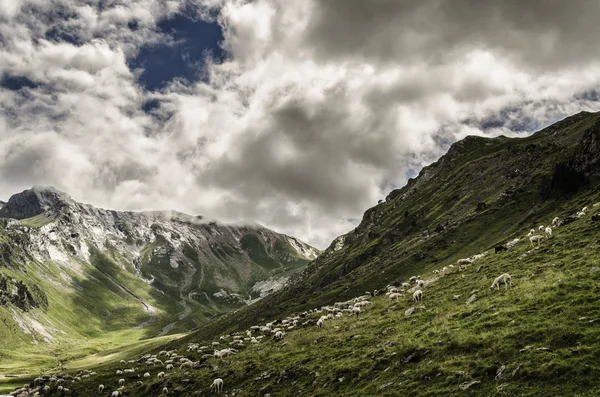 Au fond de la vallée — Photo