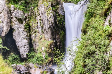 Ormanın içine Waterfal