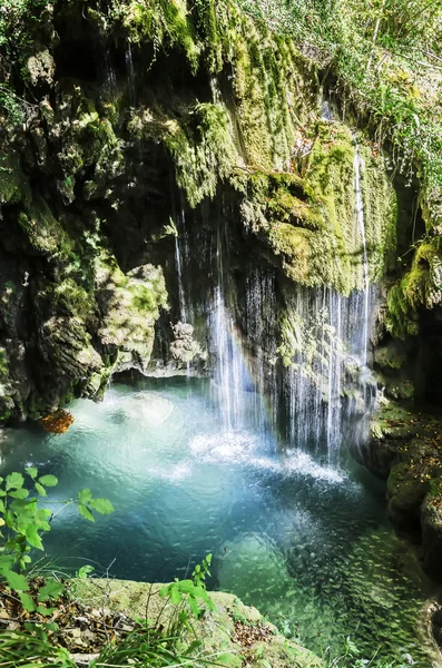 Wasserfall im Wald lizenzfreie Stockfotos