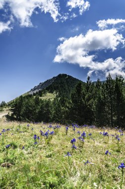 Pirene Dağları peyzaj