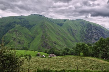 Pirene Dağları peyzaj