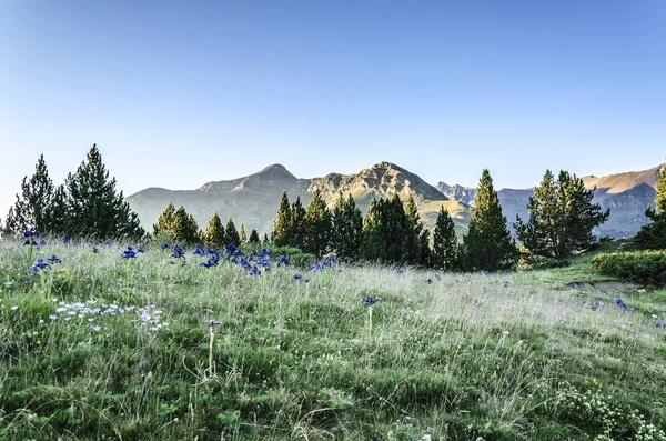 Pyrenees Mountains Landscape — Stock Photo, Image