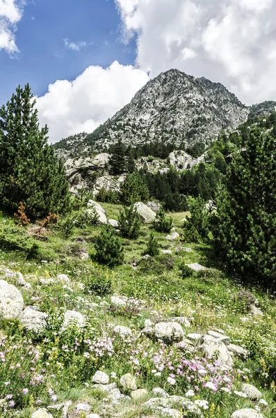 Pyrenäen Gebirgslandschaft — Stockfoto