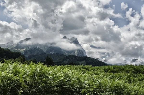 Pyrenees Mountains Landscape — Stock Photo, Image