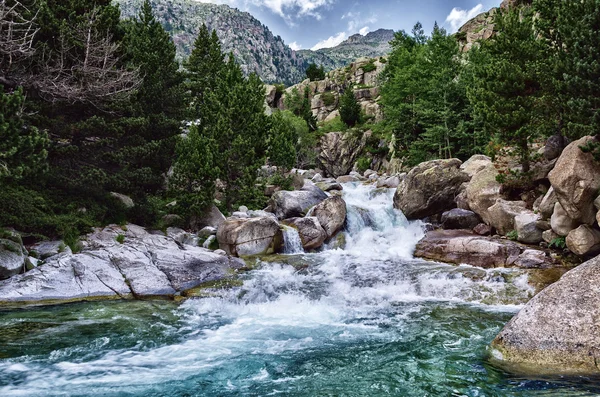 Cola-del Embalse de Cavallers. Stockbild