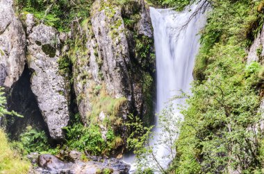 Ormanın içine Waterfal