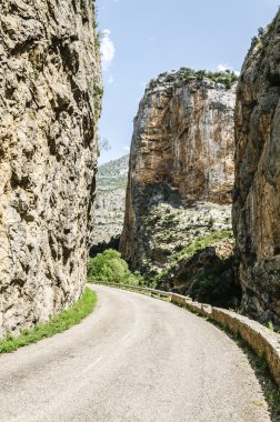 Yol yalak Pirene Dağları