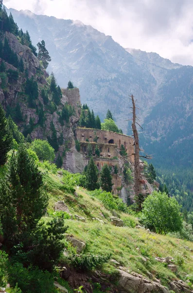 Dans les Pyrénées — Photo