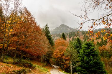 Las de Bious-Artigues