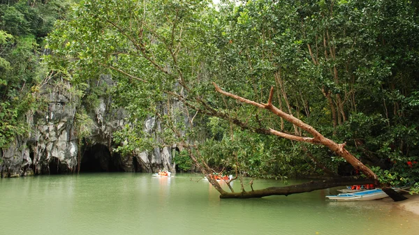 Puerto Princesa Палаван Підземна річка — стокове фото