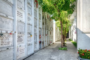 Guayaquil, Guayas, Ekvador - Kasım 2013: Güzel güneşli bir yaz sabahı, şehrin genel mezarlığındaki mahzenler, koridorlar ve bitki örtüsü.