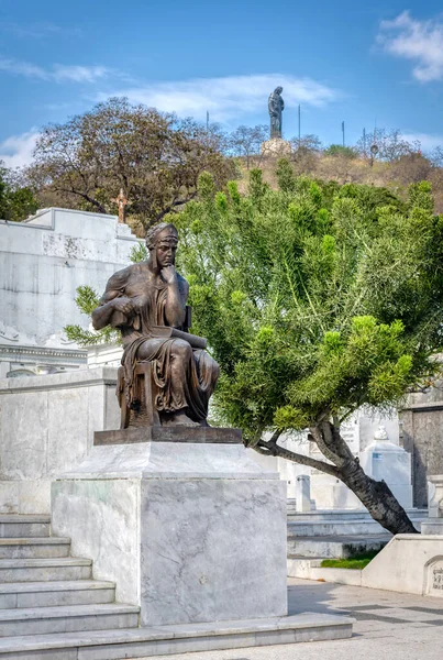 Guayaquil Guayas Ecuador November 2013 Beautiful Statues Old Crypts Tree — стокове фото