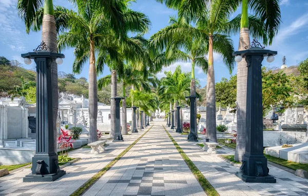 Wide View General Cemetery Guayaquil Ecuador South America Many Crypts — Stock Photo, Image