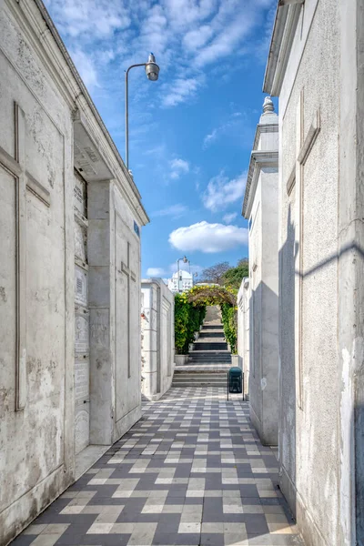 Guayaquil Guayas Ecuador November 2013 Crypts Hallways Vegetation General Cemetery — Stock Photo, Image