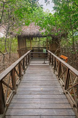 Guayaquil, Ekvador, Güney Amerika 'daki Ulusal Park' taki bir orman çardağının kopyası.. 