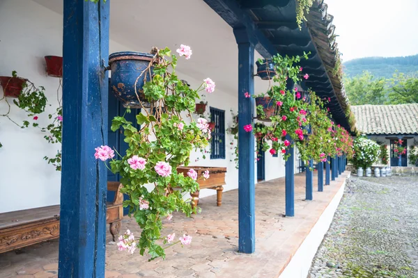 Fleurs en pots, dans une vieille hacienda — Photo