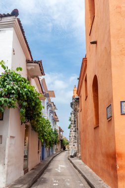 Cartagena, Kolombiya 'daki dar sömürge caddelerinde canlı renkli binalar, ikonik ahşap balkonlar ve parlak bir tropikal gökyüzü altında yemyeşil alanlar var.