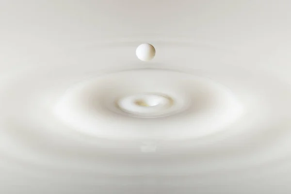 One Drop Falls White Milk — Stock Photo, Image