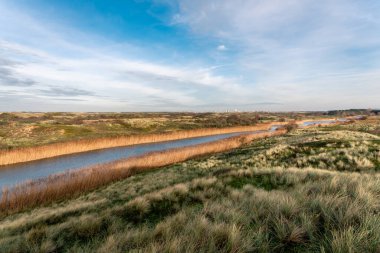 Güneşli sonbahar gününde çayırların arasındaki nehir manzarası, Vogelenzang, Bloemendaal belediyesi, Kuzey Hollanda, Hollanda. 