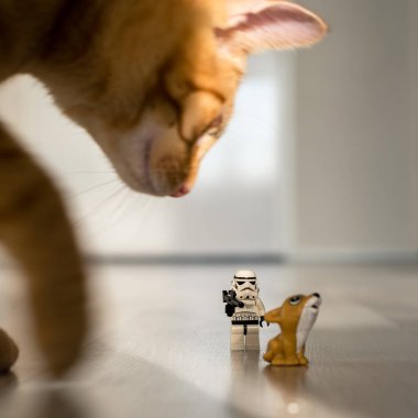 Aralık 2020, Hollanda: Lego askeri mizahı