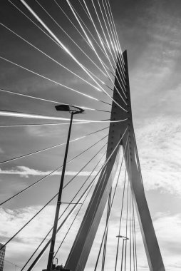 Rotterdam, Hollanda 'nın ikinci büyük kenti ve belediyesidir.