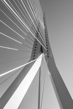 Rotterdam 'daki köprü, Hollanda' nın ikinci büyük şehri ve belediyesi.