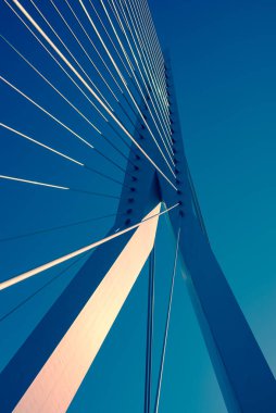 Rotterdam 'daki köprü, Hollanda' nın ikinci büyük şehri ve belediyesi.