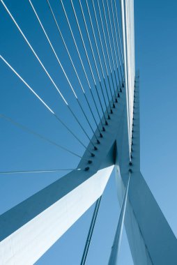 Rotterdam 'daki köprü, Hollanda' nın ikinci büyük şehri ve belediyesi.