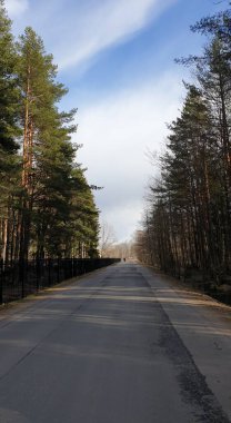 Rusya 'nın doğası. Parktaki yol. Bahar.