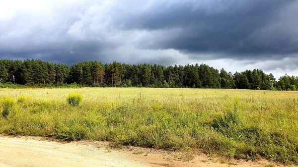 Natureza Rússia Verão Antes Chuva Nuvens Baixas Escuras Grama Verde — Fotografia de Stock