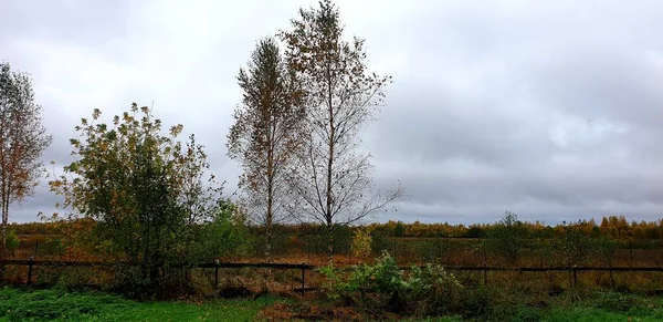 Herbstlandschaft Der Himmel Ist Mit Grauen Wolken Bedeckt Ein Feld — Stockfoto