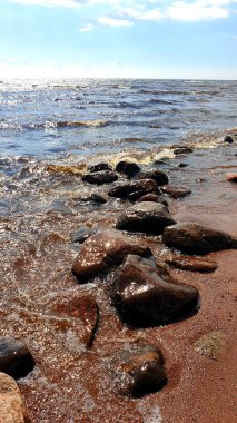 Güneşli havada Baltık Denizi kıyısı. Finlandiya Körfezi, Rusya.
