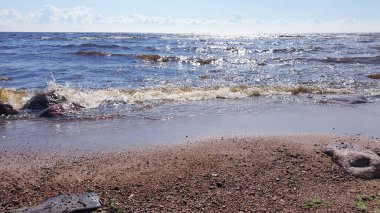 Finlandiya Körfezi 'nde yaz günü dalgalar. Baltık Denizi.