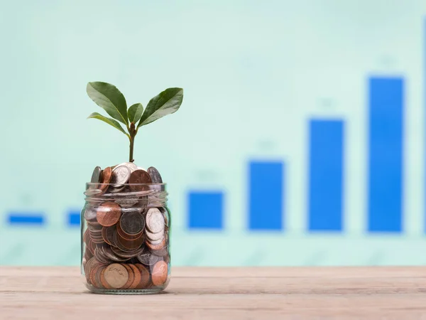 Plant Groeit Spaarmunten Sparen Finance Concept Wazig Achtergrond Investeringen Grafiek — Stockfoto