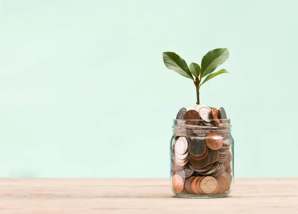 貯蓄コインで成長する植物 貯蓄コンセプト ブルーの背景 ストック写真