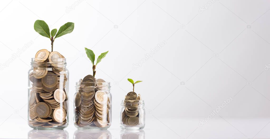 Gold Turkish coins and seed in clear bottle on white background, Business and Finance concept